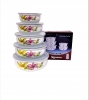 5 Pcs Food Containers Bowl Set